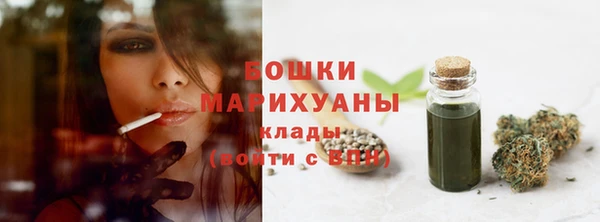 PSILOCYBIN Гусь-Хрустальный