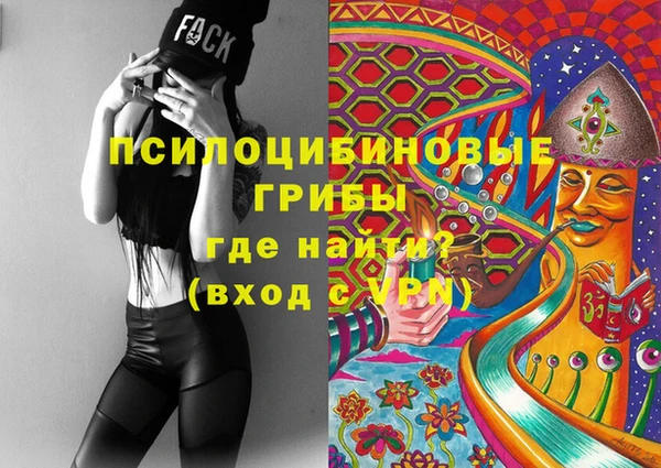 PSILOCYBIN Гусь-Хрустальный