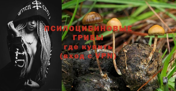 PSILOCYBIN Гусь-Хрустальный
