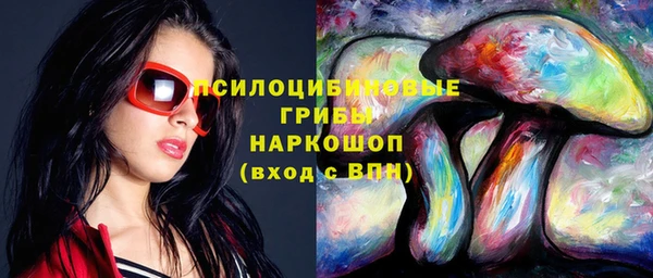 PSILOCYBIN Гусь-Хрустальный