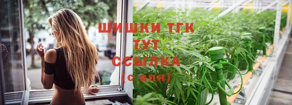 метадон Гусиноозёрск